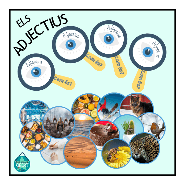 ENSENYA ELS ADJECTIUS TOT JUGANT!