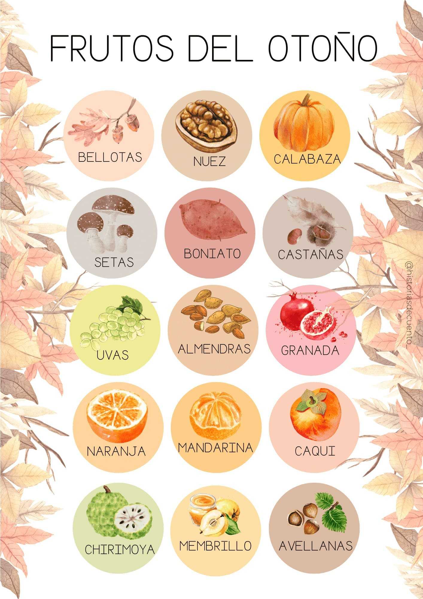 Lámina los frutos de otoño -castellano mayúscula
