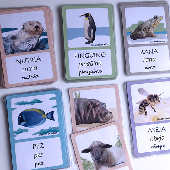 Profes Papel Tijera NOMBRES DE ANIMALES