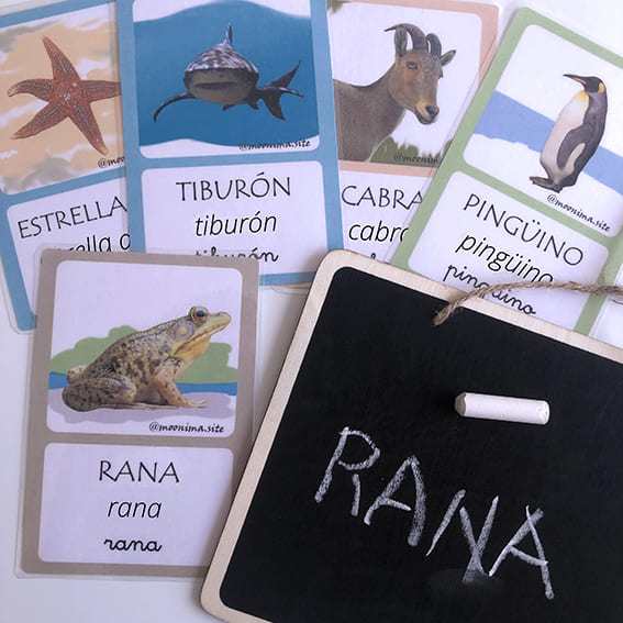 Profes Papel Tijera NOMBRES DE ANIMALES