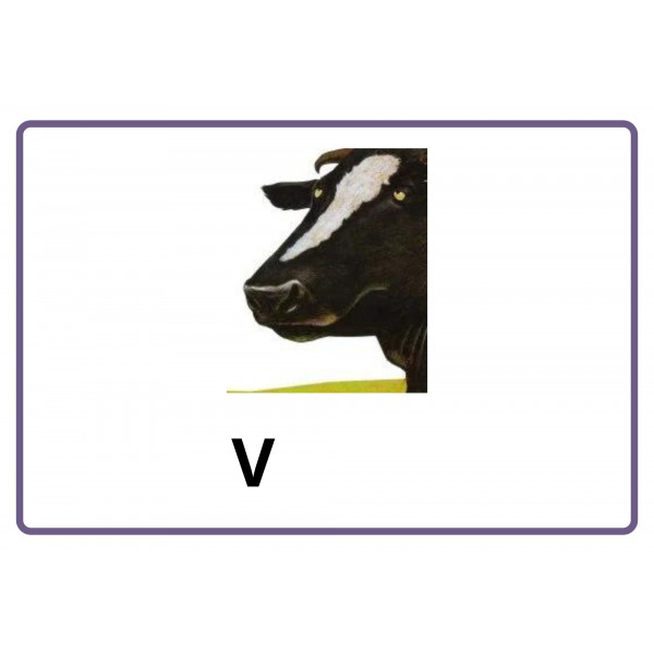 Lectoescriptura amb la Talpeta