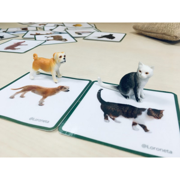 Vocabulari Discriminació Auditiva Els Animals