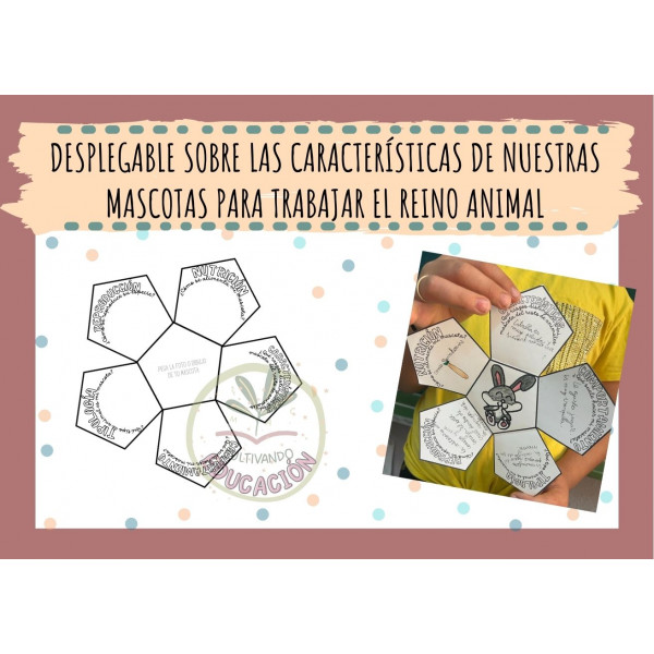 Desplegable reino animal