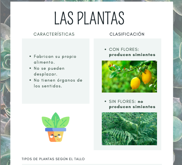 Profes Papel Tijera Fichas para trabajar las plantas