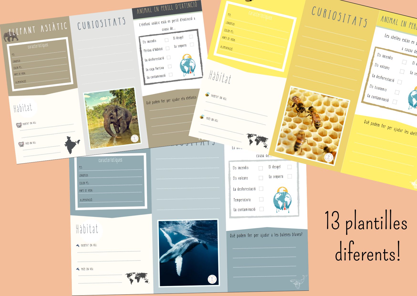 PLANTILLES ANIMALS EN PERILL D'EXTINCIÓ