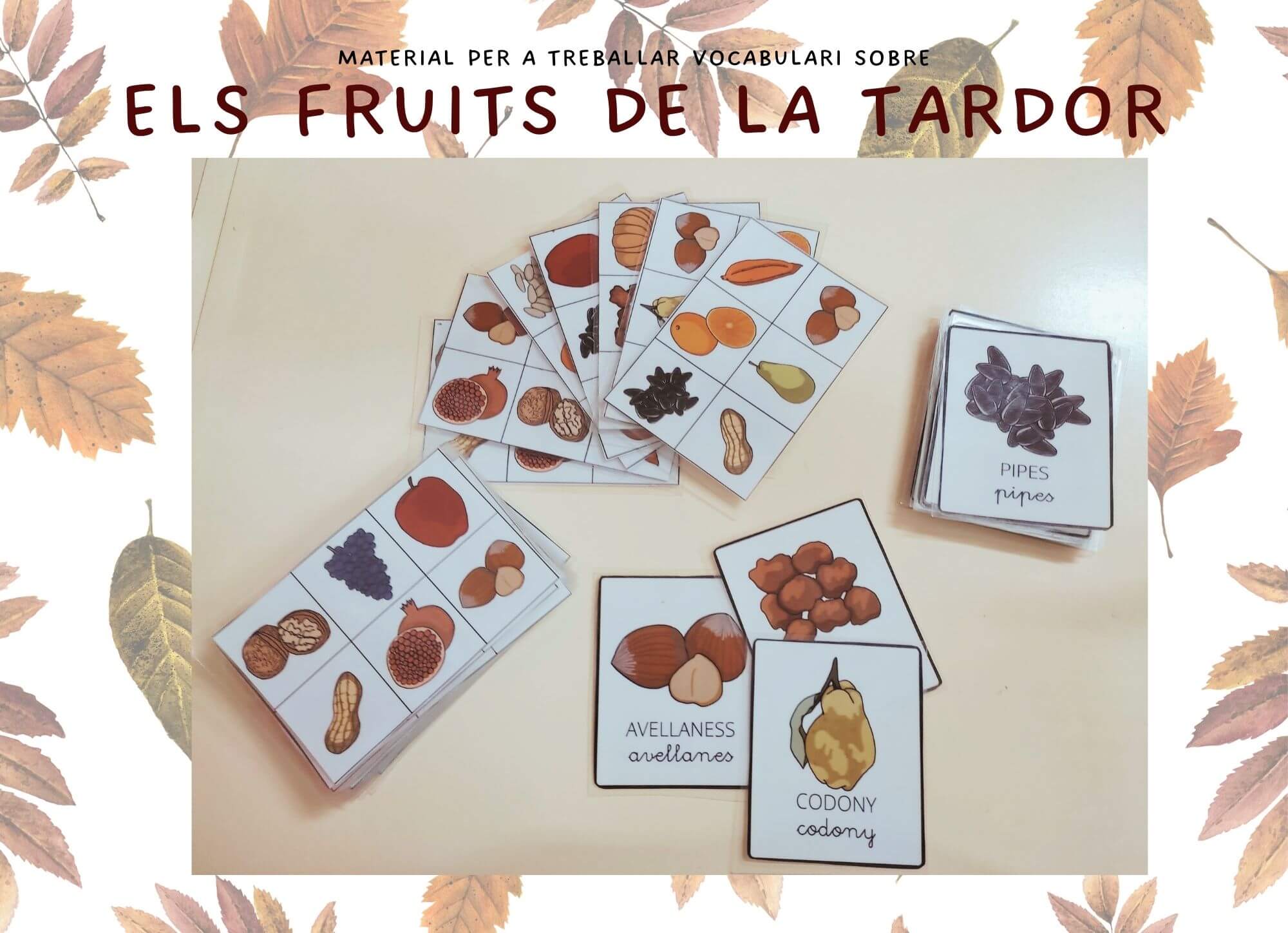 VOCABULARI DELS FRUITS DE LA TARDOR