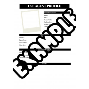 CSI AGENT PROFILE - ABOUT ME