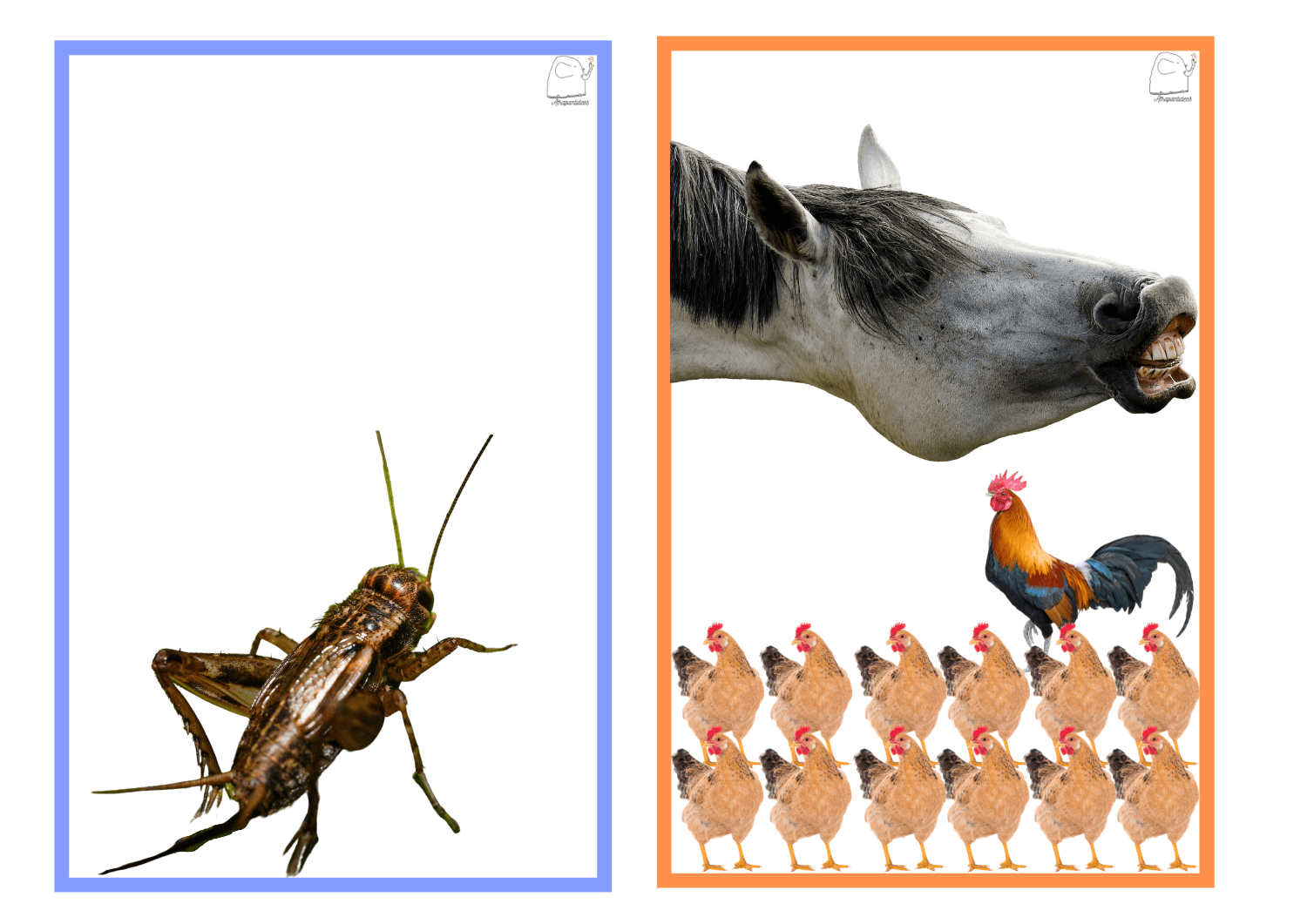 Rimes (consicència fonològica)