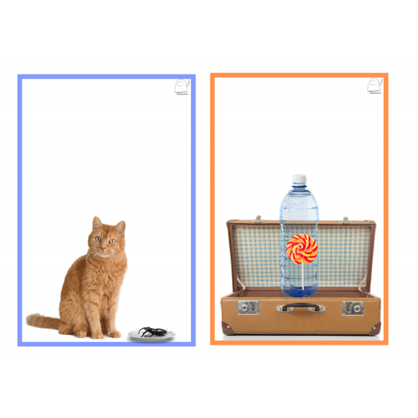 Rimes (consicència fonològica)