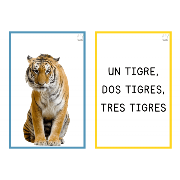 Embarbussaments il·lustrats