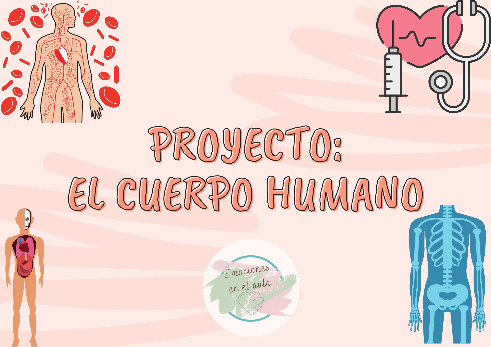 EL CUERPO HUMANO