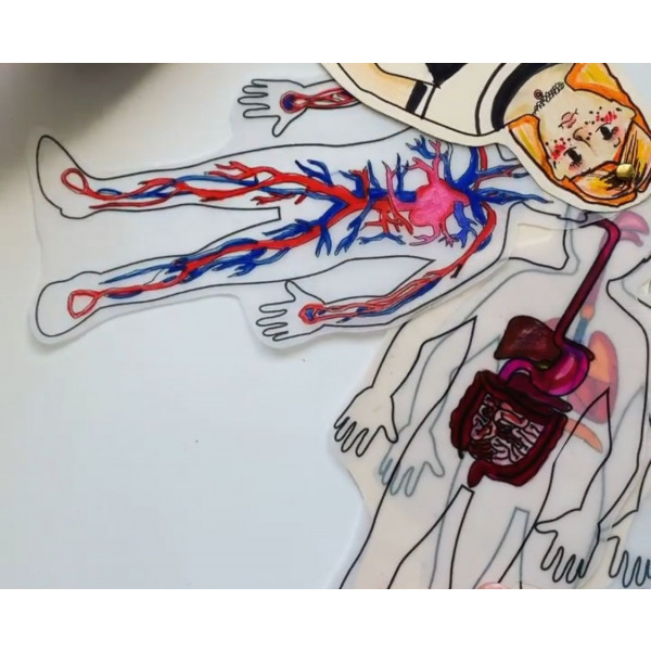 Llavero_Sistemas del cuerpo