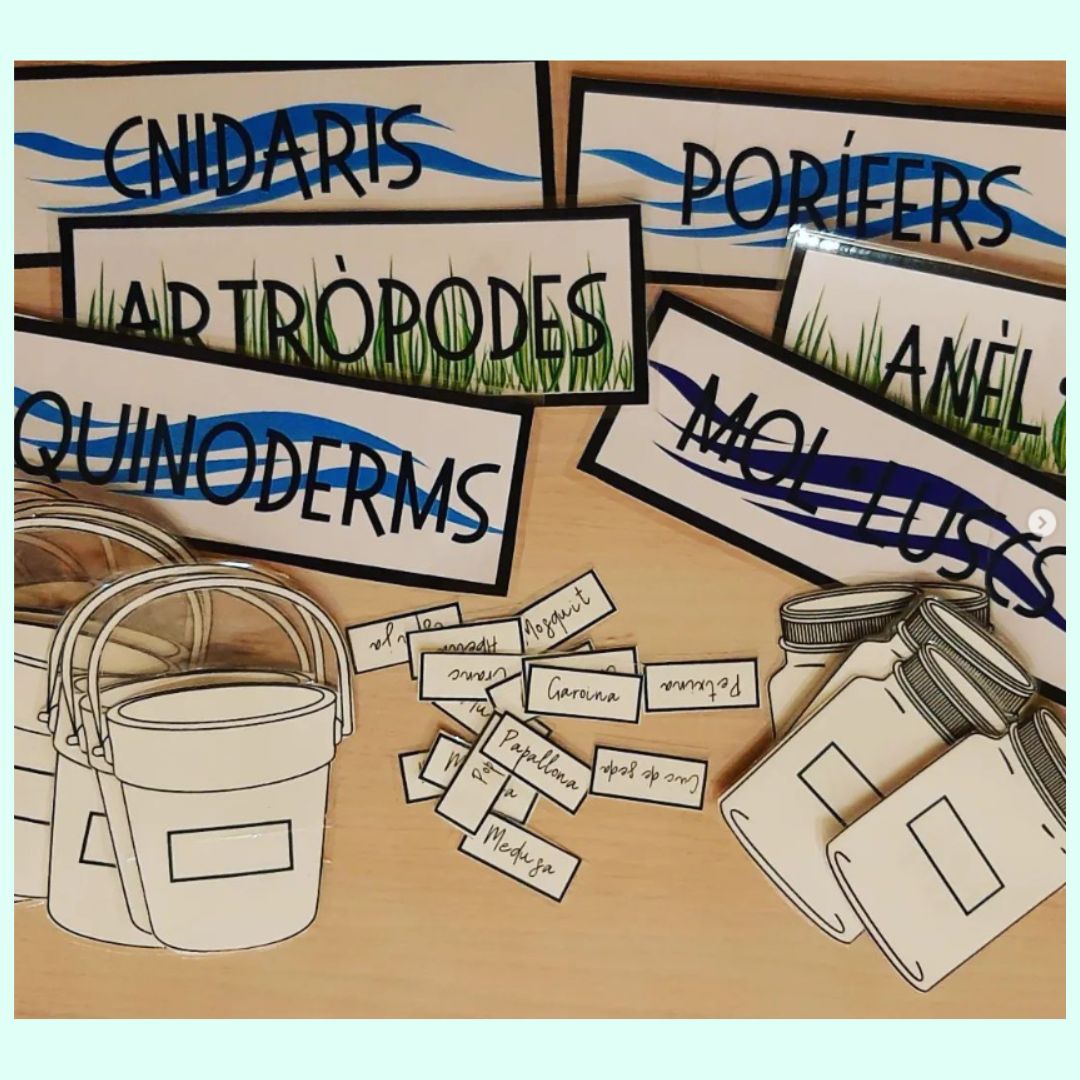 CLASSIFIQUEM ELS ANIMALS INVERTEBRATS