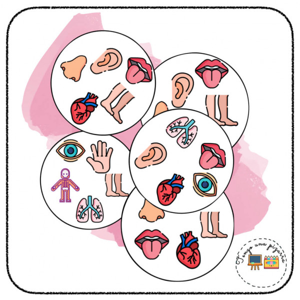 Dobble El cuerpo humano