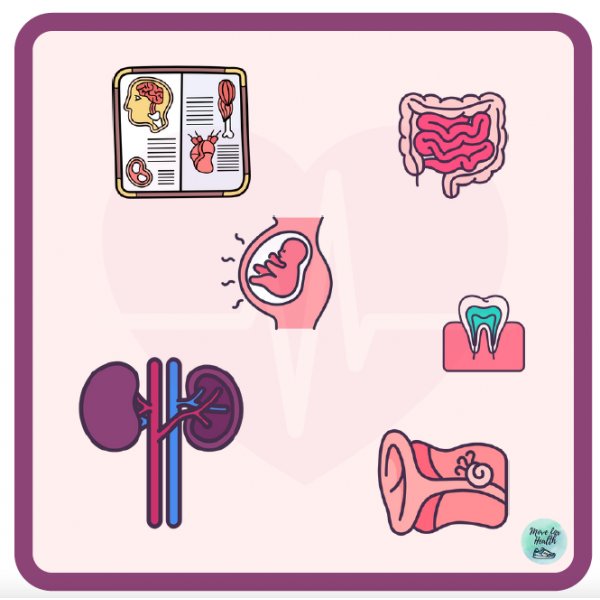 CARTAS DOBBLE CUERPO HUMANO