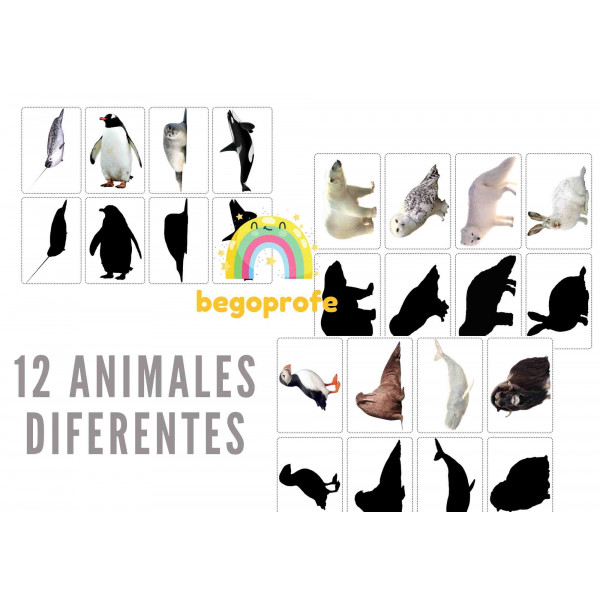 Emparejar animales polares con su sombra