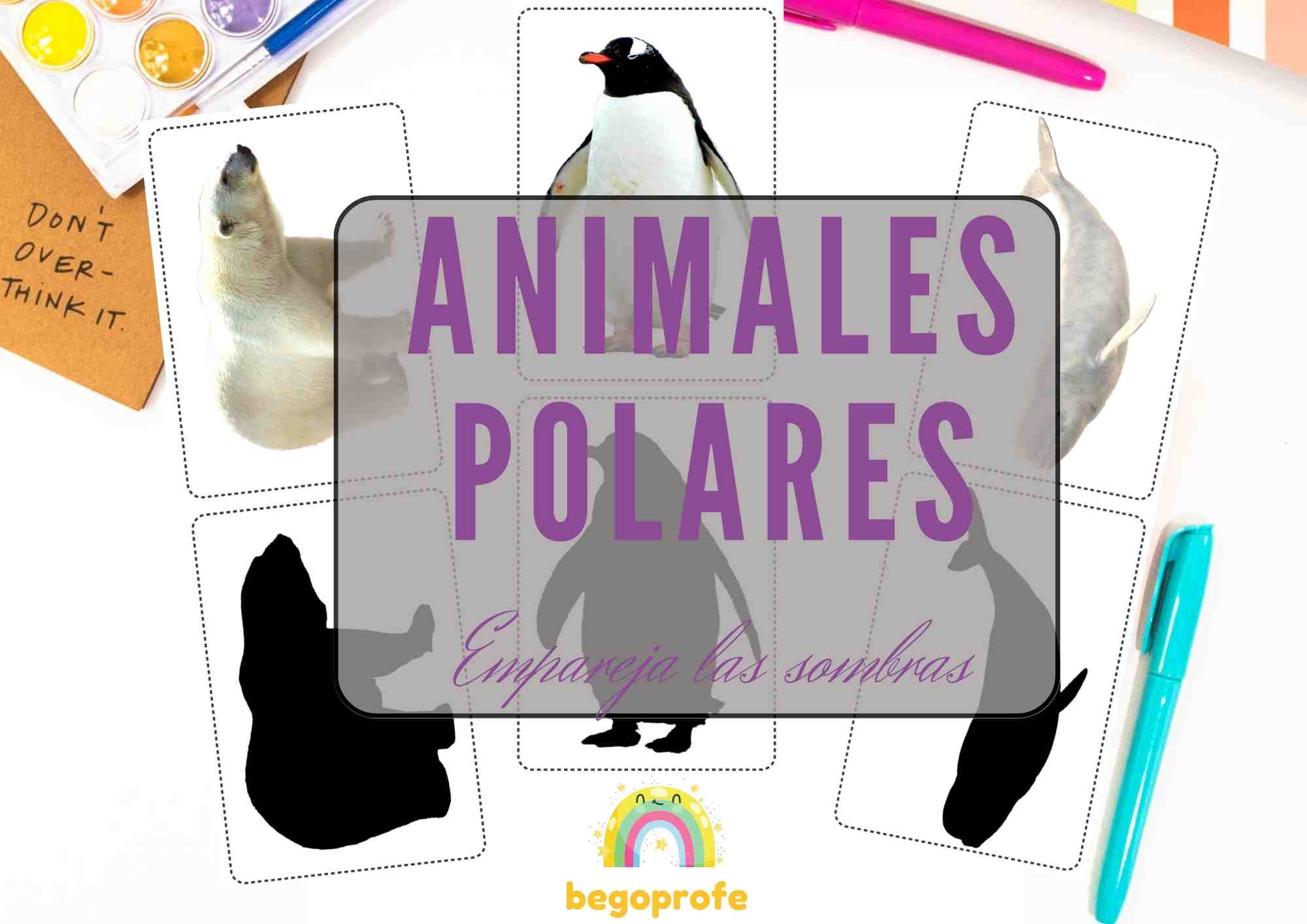Emparejar animales polares con su sombra