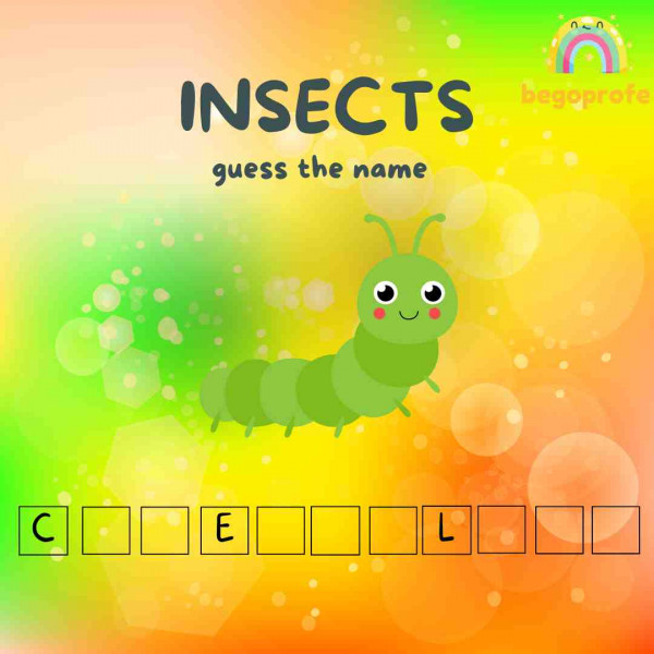 INSECTS word search game