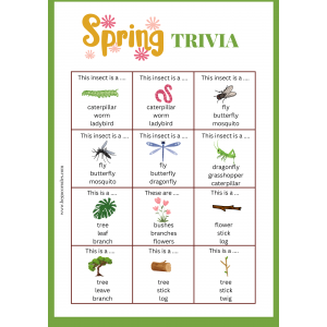 Spring Trivia