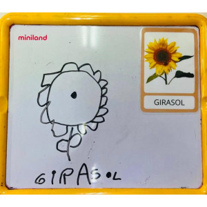 Vocabulari Primavera