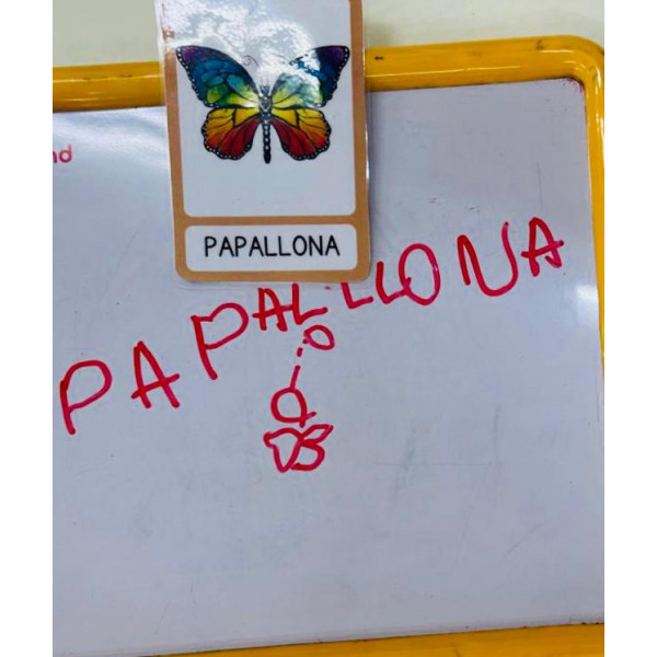 Vocabulari Primavera