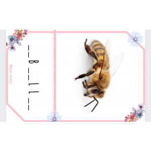 Posa la vocal Primavera