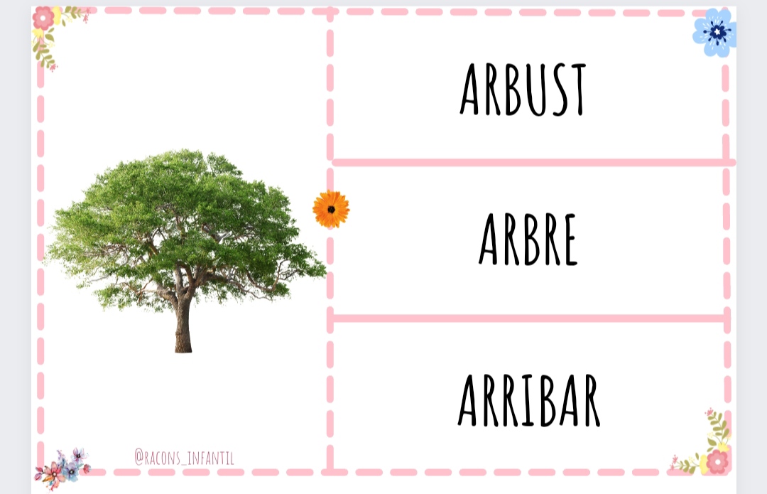 Què hi posa Primavera