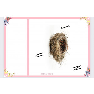 Ordena les lletres Primavera