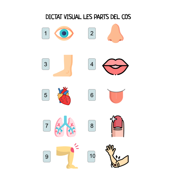DICTADO VISUAL, DICTADO MUDO LAS PARTES DEL CUERPO