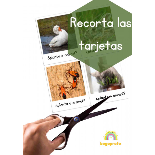 ¿Planta o animal? Juego clasificación primavera