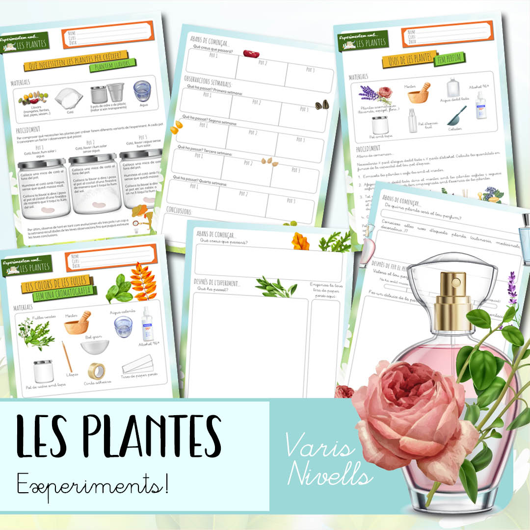 Experimentem amb les plantes