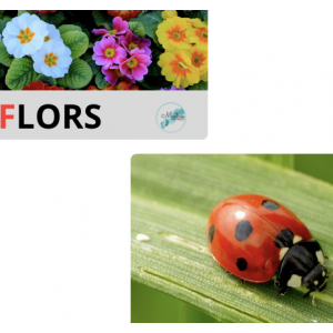 Vocabulari de la primavera