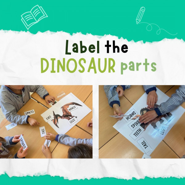 Label the dinosaur parts