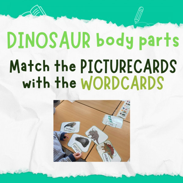 Dinosaur body parts: picturecards and wordcards