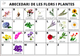 VOCABULARI FLORS I PLANTES (PRIMAVERA)