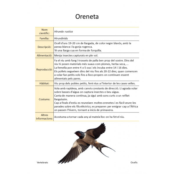 Llibre de consulta: Animals de l'entorn