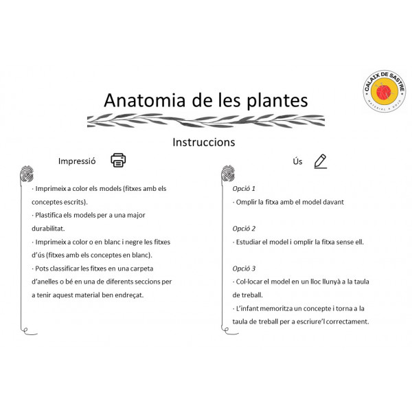 Anatomia: Parts de les plantes