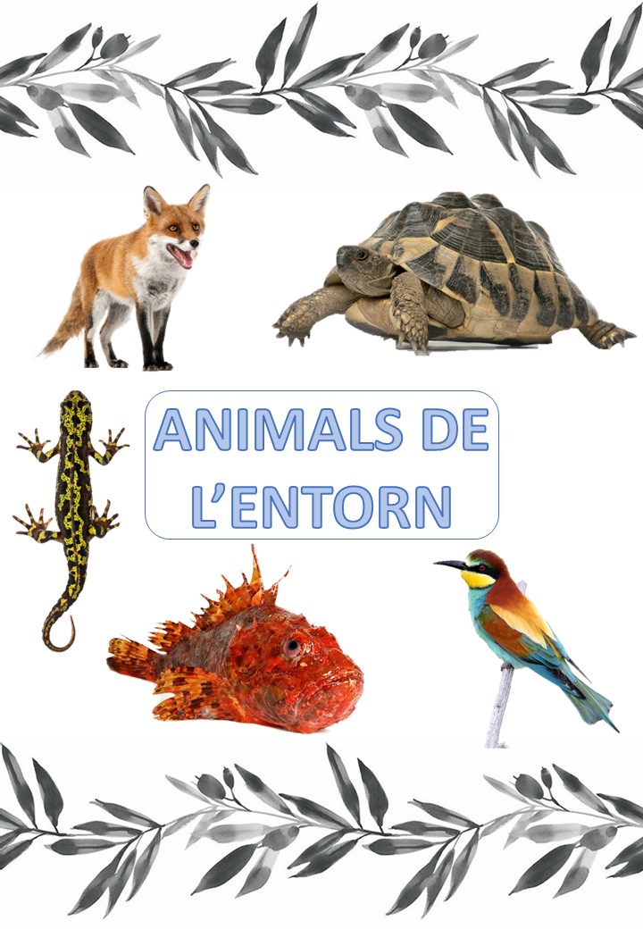 Llibre de consulta: Animals de l'entorn