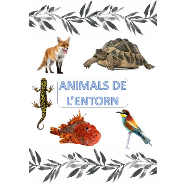 Llibre de consulta: Animals de l'entorn