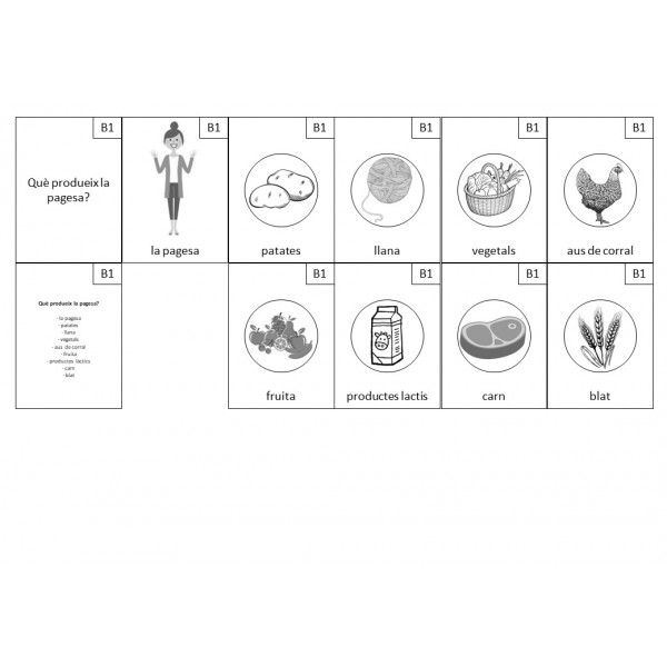 Activitats dels éssers humans a la Terra (Montessori)