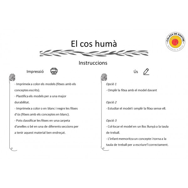 Anatomia: El cos humà