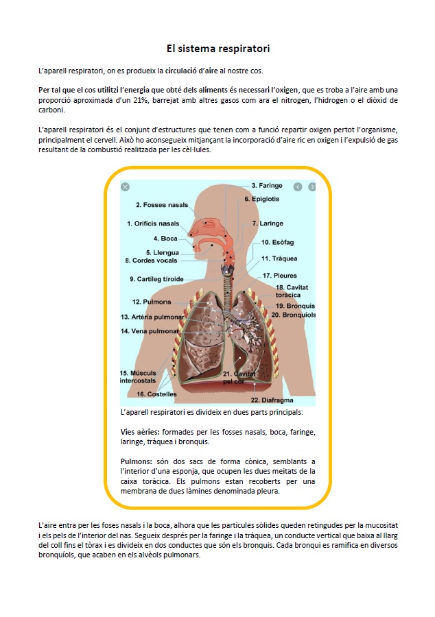 Sistema respiratori: informació