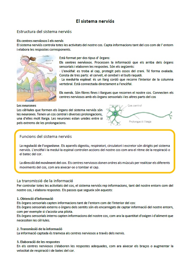 Sistema nerviós: informació