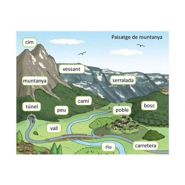 Relleus: fitxes imprimibles