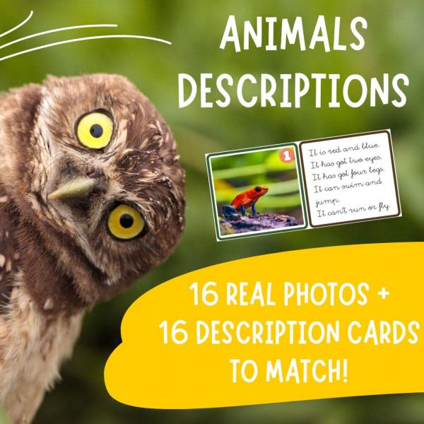 Animals description reading cards