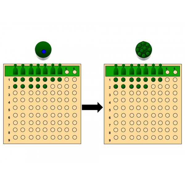 División con probetas (Montessori)