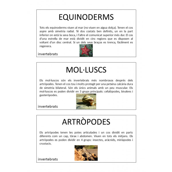 Invertebrats - Targetes