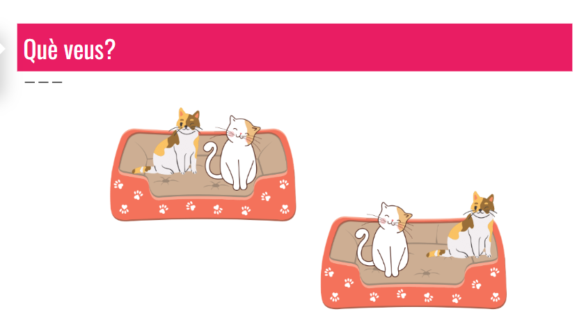 Iniciem la multiplicació