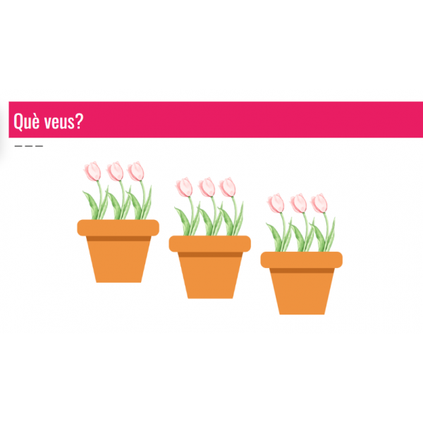 Iniciem la multiplicació