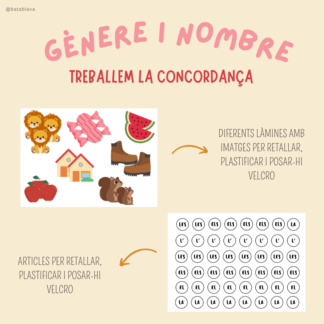 Gènere i nombre